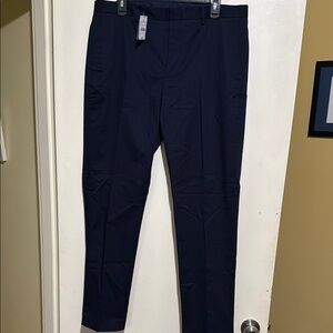 J. Crew Blue Dress Pants